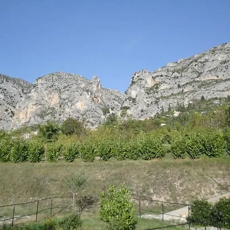 Du Loup